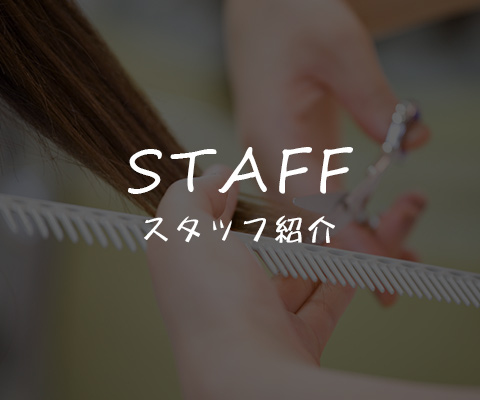スタッフ紹介
