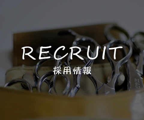 採用情報
